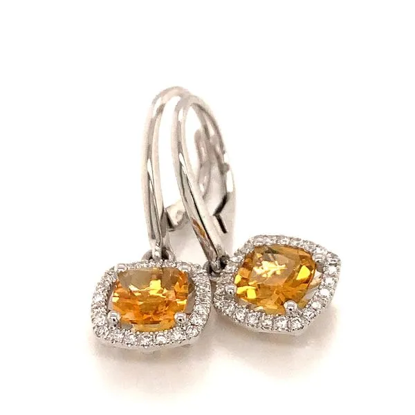 Earrings James Douglas Jewelers LLC Monroeville, PA