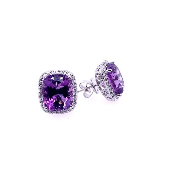 Earrings James Douglas Jewelers LLC Monroeville, PA