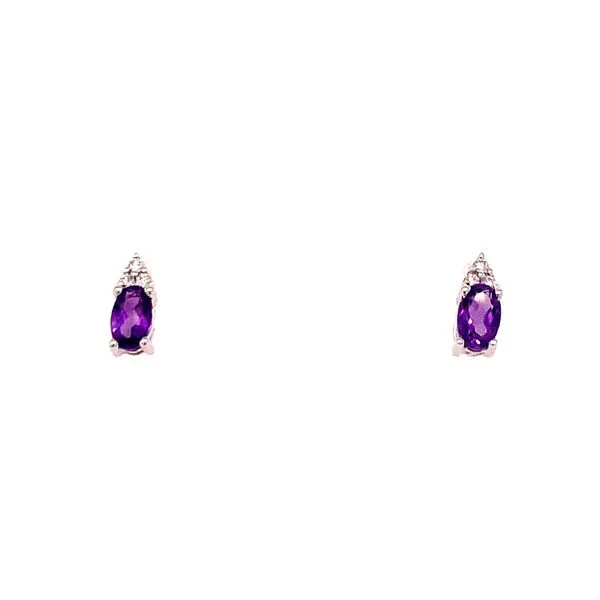 Earrings James Douglas Jewelers LLC Monroeville, PA