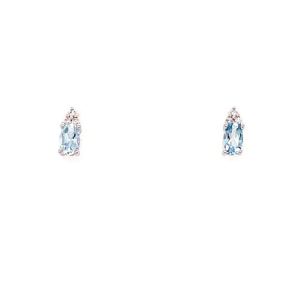 Earrings James Douglas Jewelers LLC Monroeville, PA