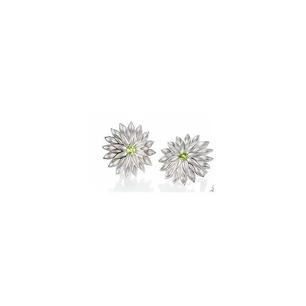 Earrings James Douglas Jewelers LLC Monroeville, PA