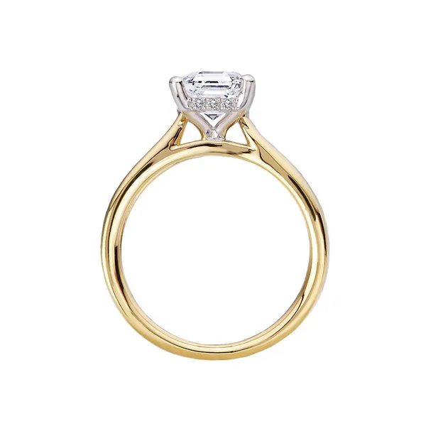 Diamond Semi-Mount Image 2 James Martin Jewelers Dubuque, IA