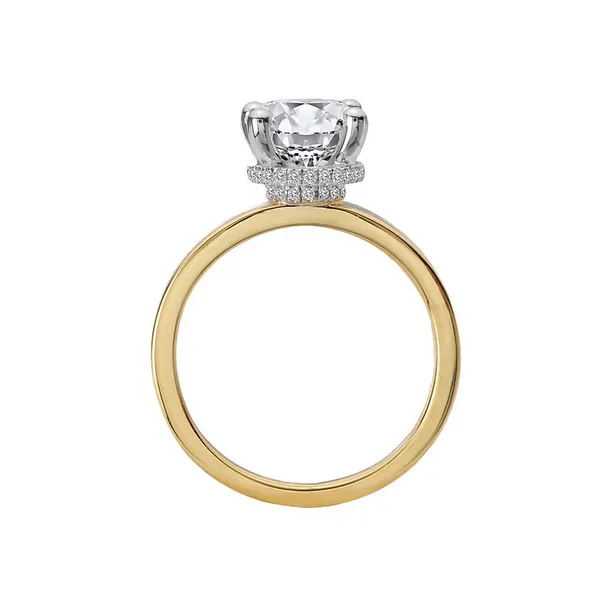 Diamond Semi-Mount Image 2 James Martin Jewelers Dubuque, IA