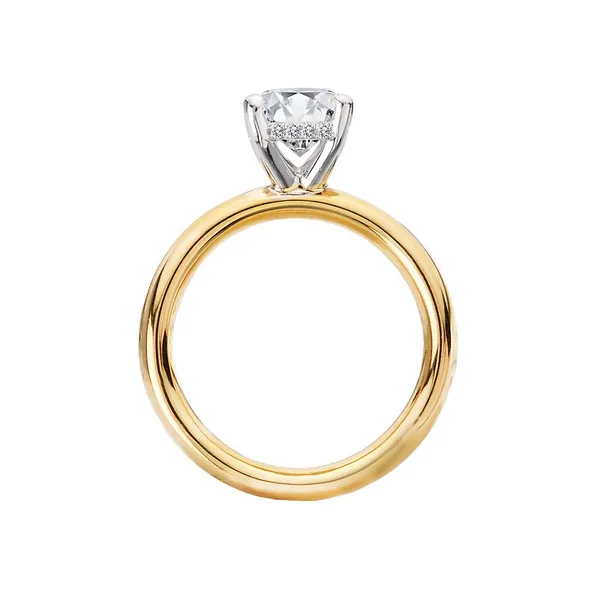 Diamond Semi-Mount Image 2 James Martin Jewelers Dubuque, IA