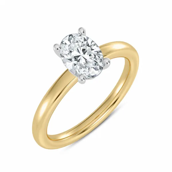 Diamond Semi-Mount James Martin Jewelers Dubuque, IA