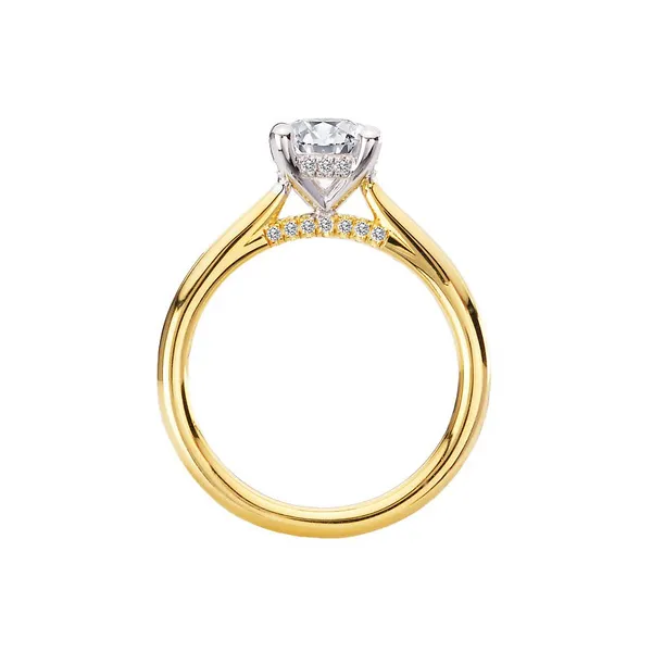 Diamond Semi-Mount Image 2 James Martin Jewelers Dubuque, IA