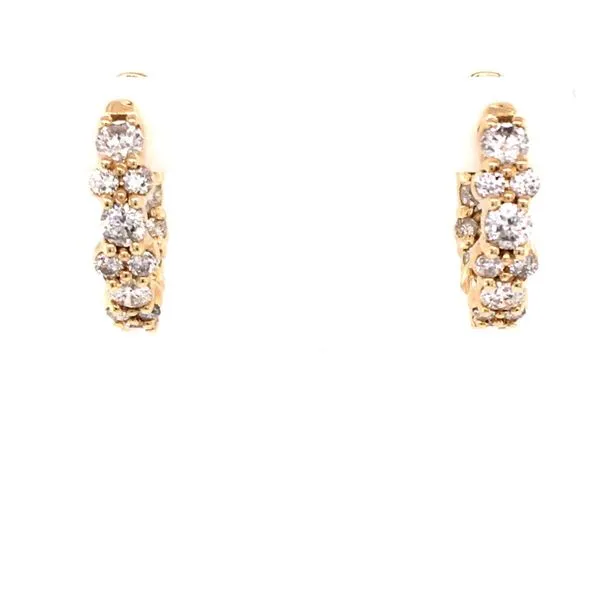 Diamond Fashion Earrings James Martin Jewelers Dubuque, IA