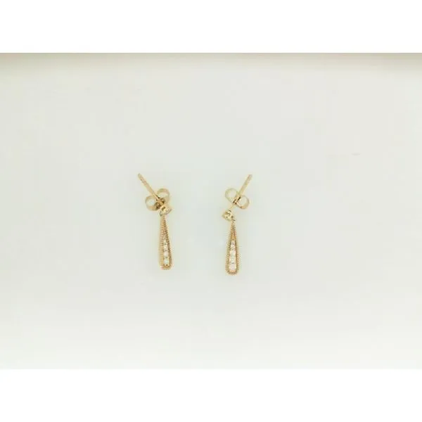 Diamond Fashion Earrings James Martin Jewelers Dubuque, IA