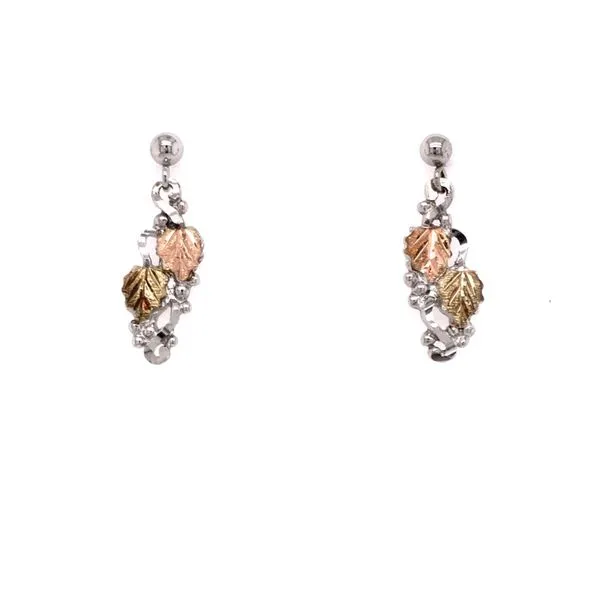 S/S Earrings James Martin Jewelers Dubuque, IA