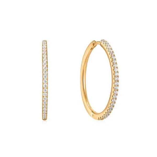 S/S Earrings James Martin Jewelers Dubuque, IA