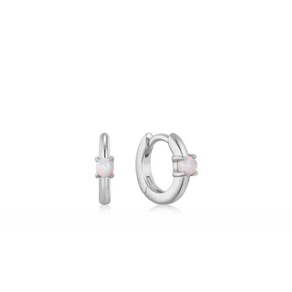S/S Earrings James Martin Jewelers Dubuque, IA