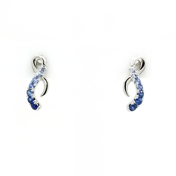 Earring Jaymark Jewelers Cold Spring, NY