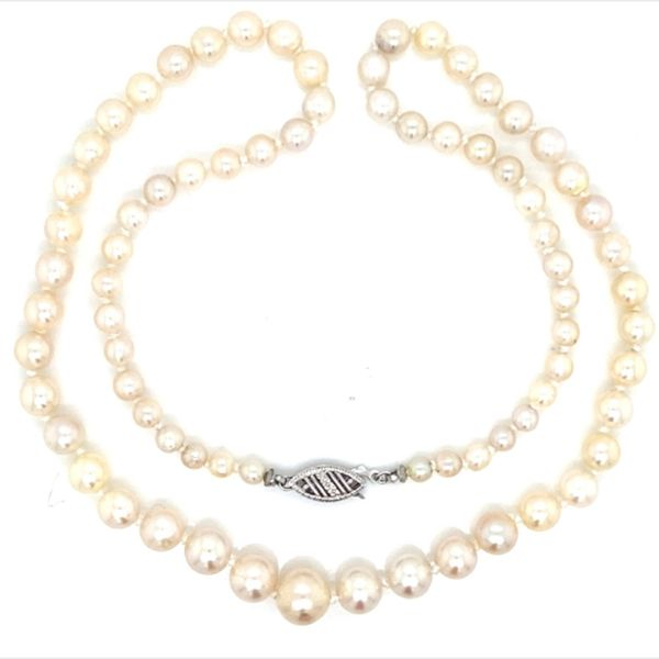 14K White Gold Graduated Pearl Strand Necklace Jaymark Jewelers Cold Spring, NY