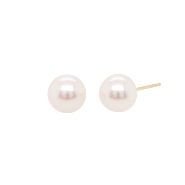 Pearl Earrings Jayson Jewelers Cape Girardeau, MO