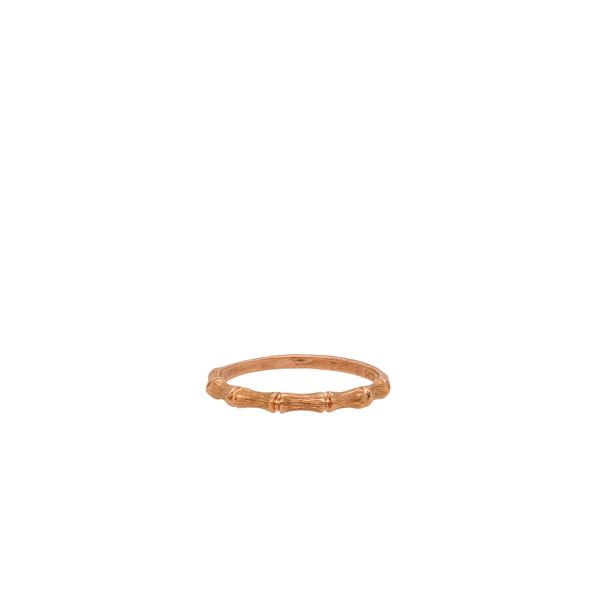 Women's Gold Wedding Band Jayson Jewelers Cape Girardeau, MO