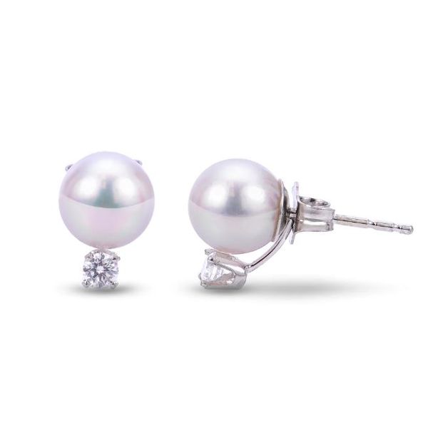 14K White Gold Other Earrings Jeff Dennis Jewelers Gardendale, AL