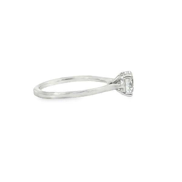 Ladies White 14 Karat Lab Grown Engagement Ring With 1.01ct Round E in color and  Vs1 in clarfity Diamond And 0.05ct tw Hidden Haloth Round Diamonds Image 2 Jeff Dennis Jewelers Gardendale, AL
