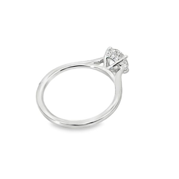 Ladies White 14 Karat Lab Grown Engagement Ring With 1.01ct Round E in color and  Vs1 in clarfity Diamond And 0.05ct tw Hidden Haloth Round Diamonds Image 3 Jeff Dennis Jewelers Gardendale, AL
