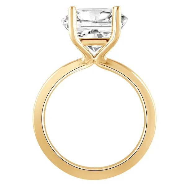 Princess Cut Diamond Solitaire Ring Set in Yellow Gold Image 2 Jeffrey Mann Fine Jewelers, Inc Toledo, OH