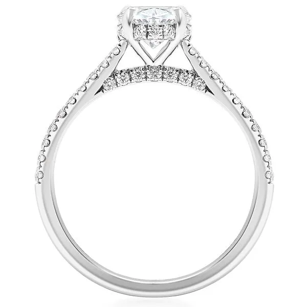 Prong Set Hidden Halo Cathedral Semi Mounting in White Gold Image 2 Jeffrey Mann Fine Jewelers, Inc Toledo, OH