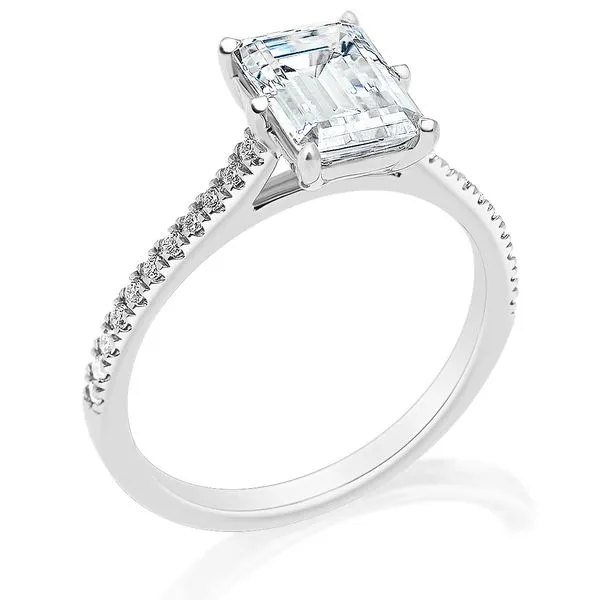 Prong Set Hidden Halo Cathedral Semi Mounting in White Gold Jeffrey Mann Fine Jewelers, Inc Toledo, OH
