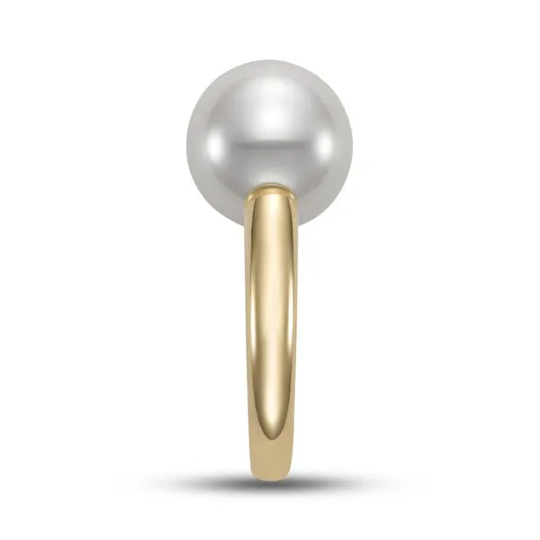 11.5-12MM Freshwater Pearl Ring in Yellow Gold Image 2 Jeffrey Mann Fine Jewelers, Inc Toledo, OH
