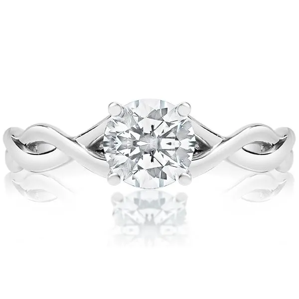 Cathedral Ribbon Solitaire Mounting in White Gold Jeffrey Mann Fine Jewelers, Inc Toledo, OH