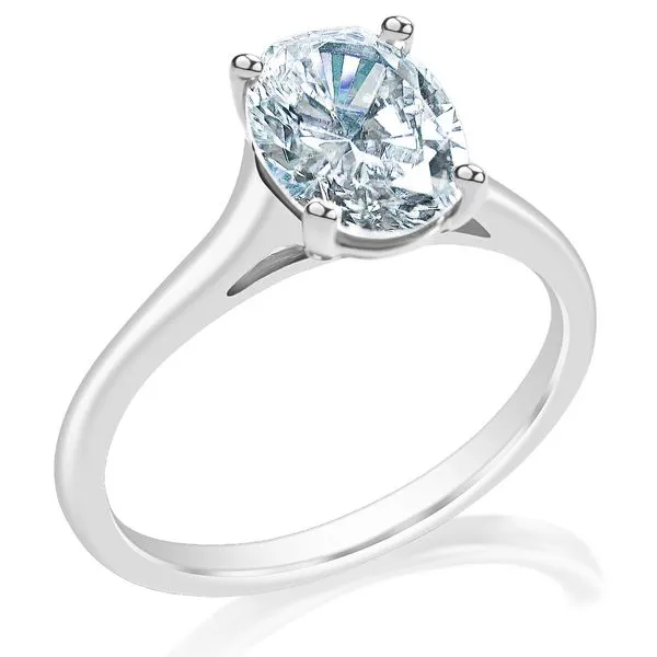 Cathedral Solitaire Mounting in White Gold Jeffrey Mann Fine Jewelers, Inc Toledo, OH