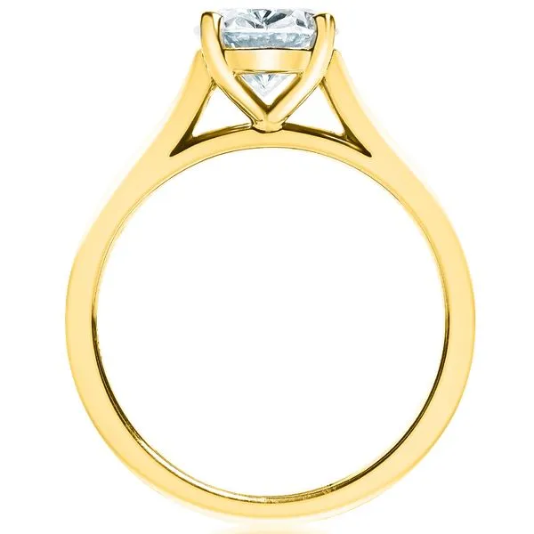 Cathedral Solitaire Mounting in Yellow Gold Image 3 Jeffrey Mann Fine Jewelers, Inc Toledo, OH