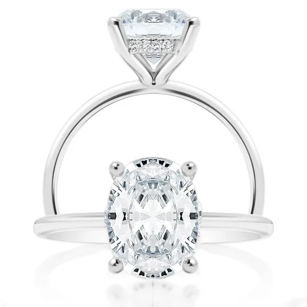 Hidden Halo Diamond Solitaire Mounting in White Gold Jeffrey Mann Fine Jewelers, Inc Toledo, OH