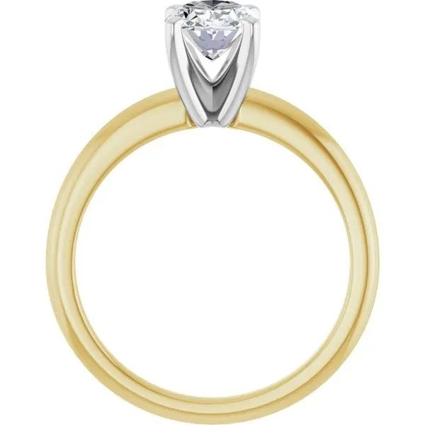 Engagement Ring Image 2 JF Jones Jewelers Rochester, NY