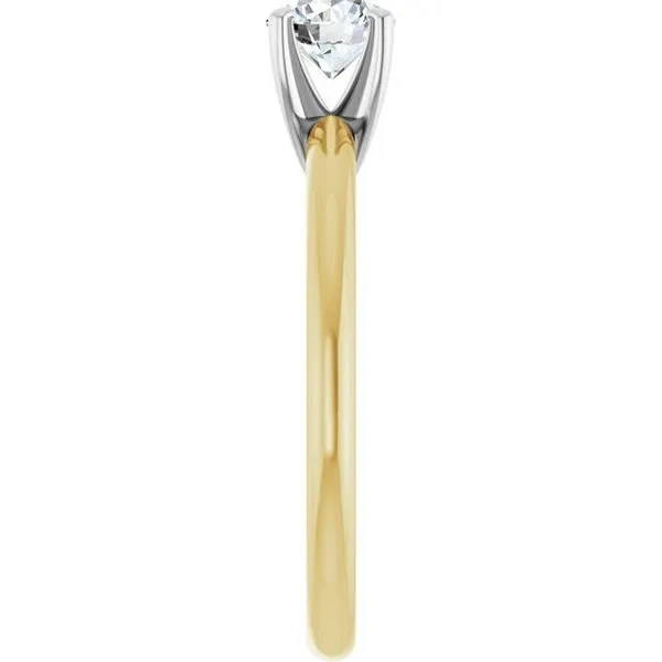 Engagement Ring Image 4 JF Jones Jewelers Rochester, NY