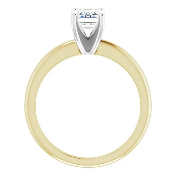 Engagement Ring Image 2 JF Jones Jewelers Rochester, NY