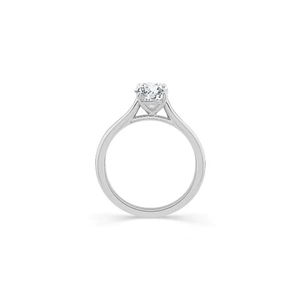 Engagement Ring Image 2 JF Jones Jewelers Rochester, NY