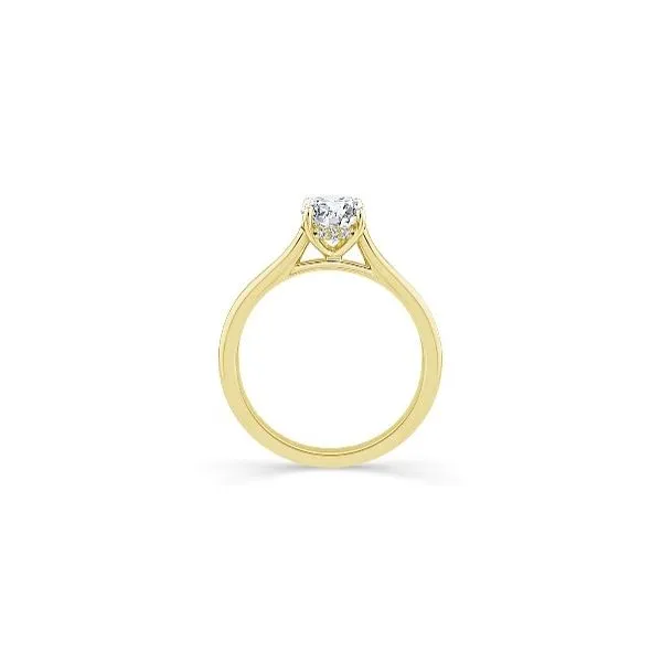 Engagement Ring Image 2 JF Jones Jewelers Rochester, NY