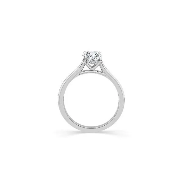 Engagement Ring Image 2 JF Jones Jewelers Rochester, NY