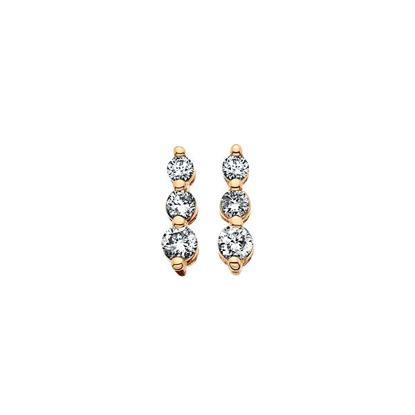 Diamond Earrings JF Jones Jewelers Rochester, NY