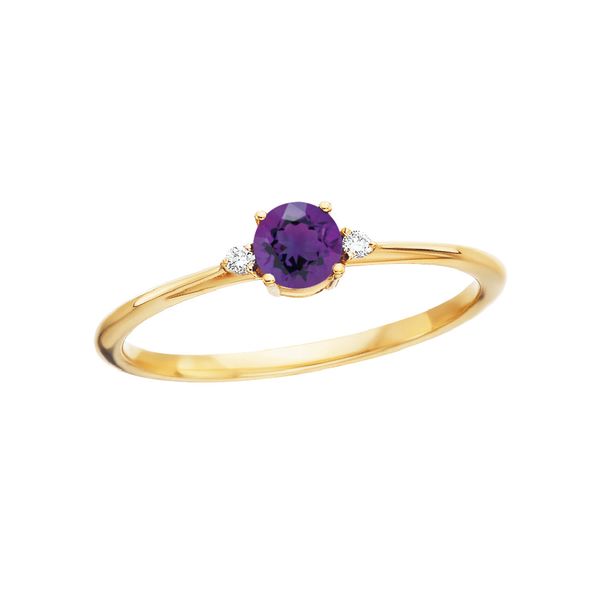 14K Amethyst & Diamond February Birthstone Ring JF Jones Jewelers Rochester, NY