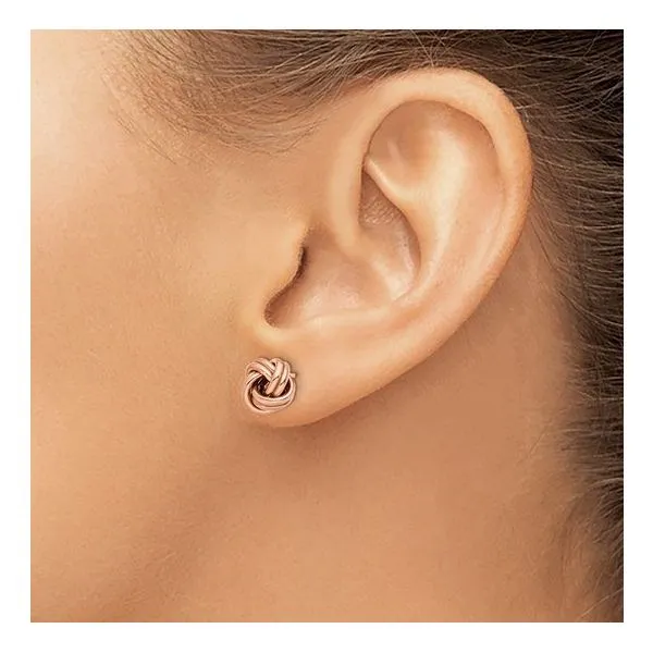 Gold Earrings Image 2 JF Jones Jewelers Rochester, NY