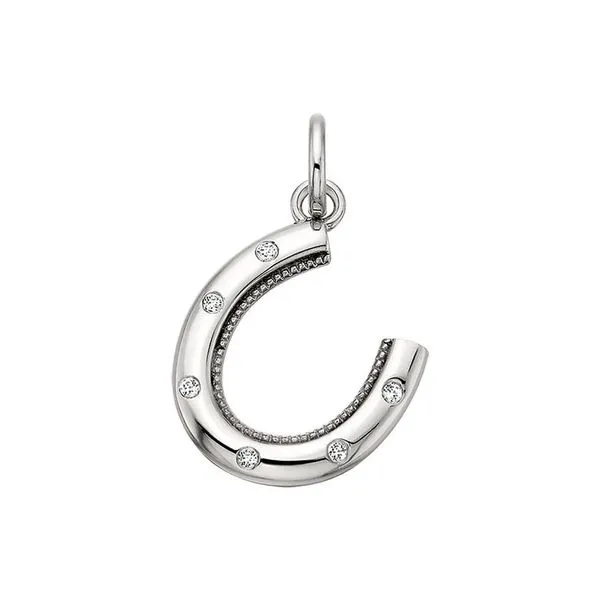 Silver Charm