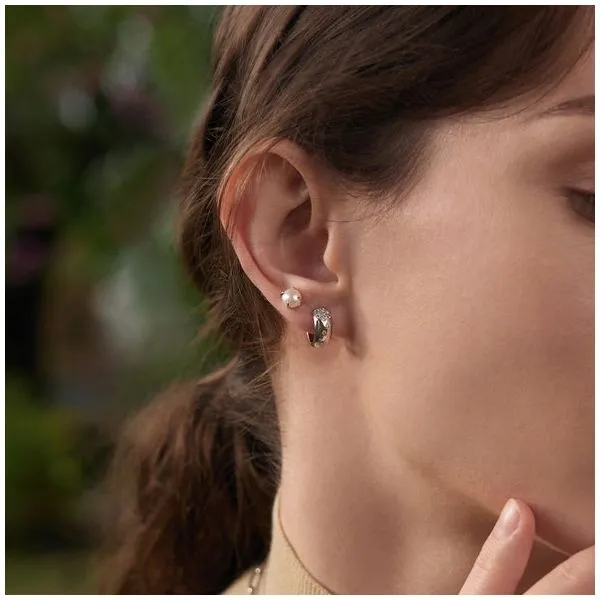 Silver Earrings Image 2 JF Jones Jewelers Rochester, NY