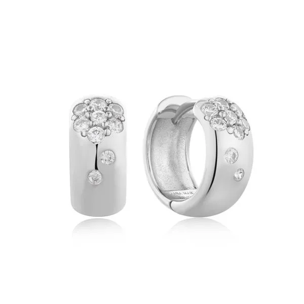 Silver Earrings JF Jones Jewelers Rochester, NY
