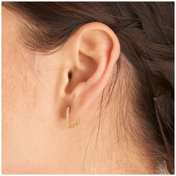 Silver Earrings Image 2 JF Jones Jewelers Rochester, NY