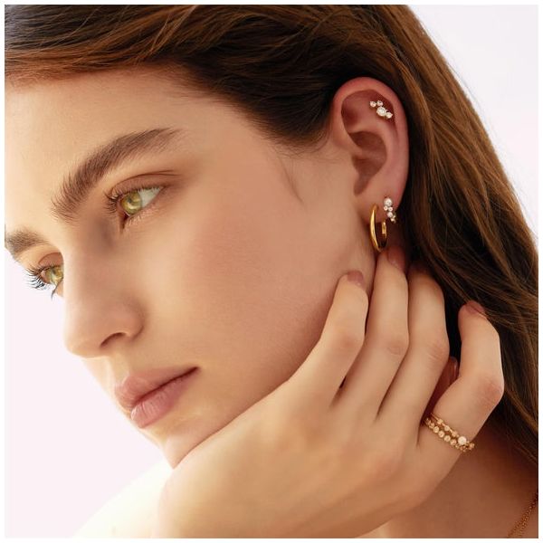 Silver Earrings Image 2 JF Jones Jewelers Webster, NY