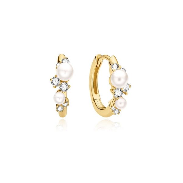 Silver Earrings JF Jones Jewelers Webster, NY