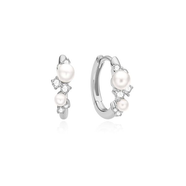 Silver Earrings JF Jones Jewelers Webster, NY