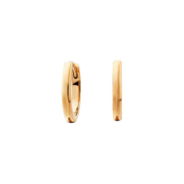 Silver Gold Vermeil Hoop Earrings JF Jones Jewelers Webster, NY