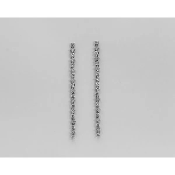 14K White Gold Diamond Fashion Earrings J. Garett Jewelers Wilmington, NC