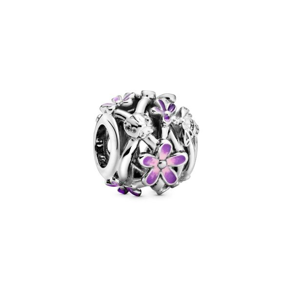 PANDORA BEADS J. Howard Jewelers Bedford, IN