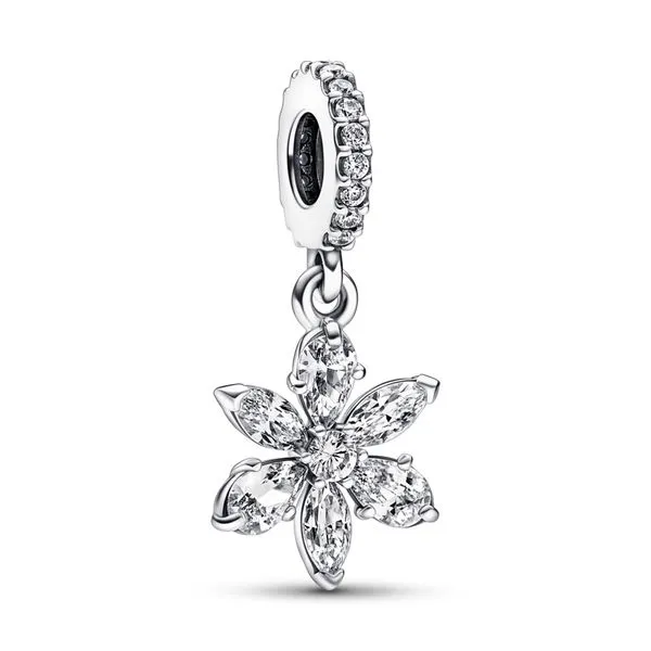 PANDORA BEADS J. Howard Jewelers Bedford, IN